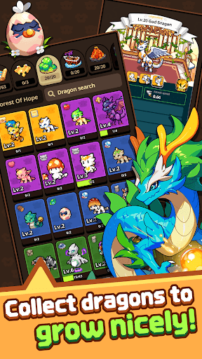 Dragon Village Adventure PC版