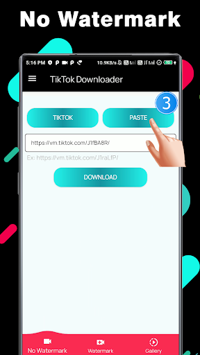 TikTok Video Downloader PC