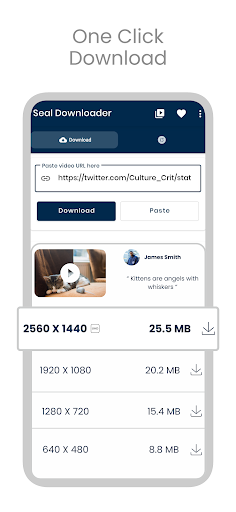 SealX Downloader