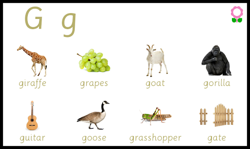 ABC Alphabets Kids Vocabulary