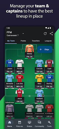 Fantasy Football Manager (FPL) الحاسوب