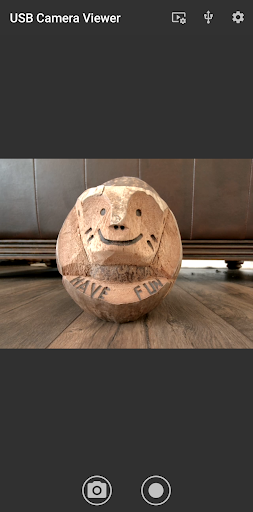 USB Camera Viewer PC版