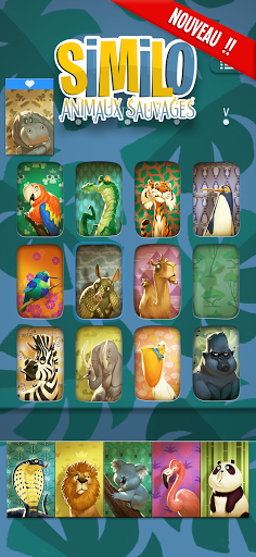 Similo : le Jeu de Cartes PC