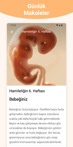 Hamilelik + | takip uygulaması