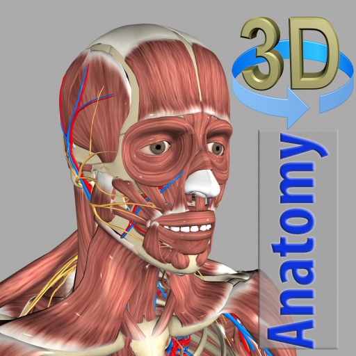 3D Anatomy PC