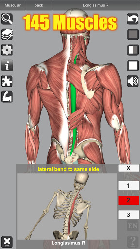 3D Anatomy PC