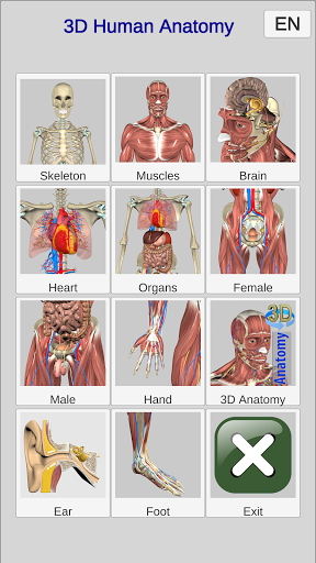 3D Bones and Organs (Anatomy) PC