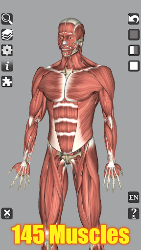 3D Bones and Organs (Anatomy) PC