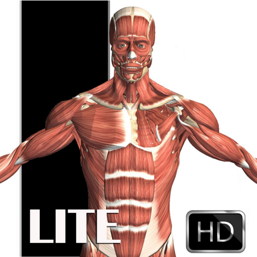 Visual Anatomy Lite الحاسوب