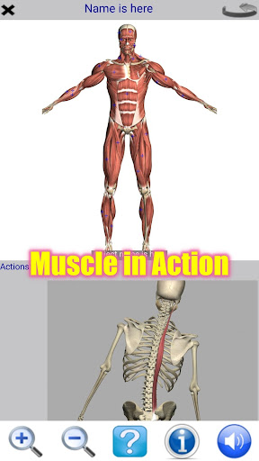 Visual Anatomy Lite الحاسوب