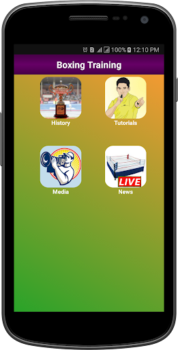 Boxing Training پی سی