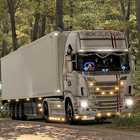 Euro Truck Simulator driving PC