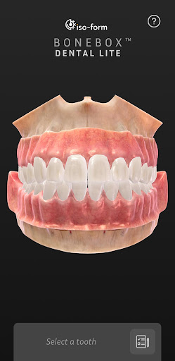 BoneBox™ - Dental Lite الحاسوب