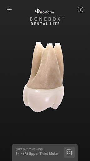 BoneBox™ - Dental Lite الحاسوب