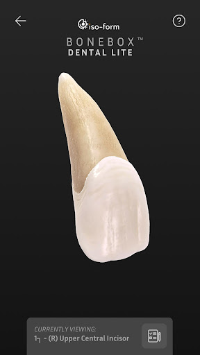 BoneBox™ - Dental Lite پی سی