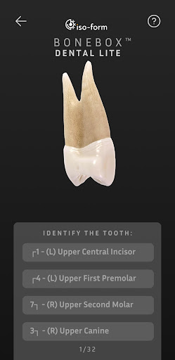 BoneBox™ - Dental Lite