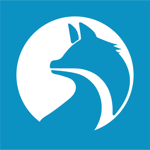 FoxManager - Offline Player PC
