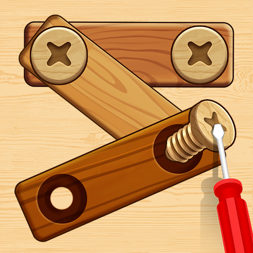 Wood Screw Puzzle ????