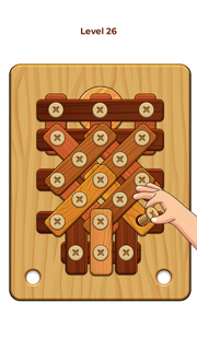 Wood Nuts: Screw Puzzle PC