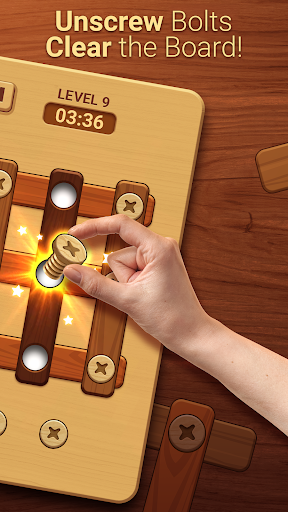 Wood Puzzle: Nuts And Bolts PC版