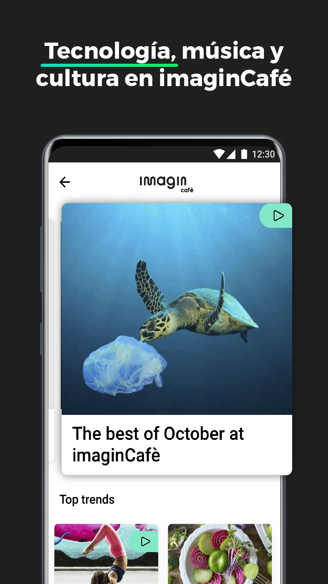 imagin – Más que una app para gestionar tu dinero PC