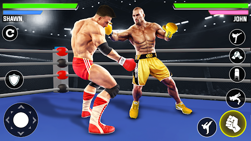 Real Wrestling Arena Fight 3D পিসি