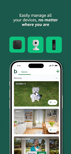 Blink Home Monitor PC