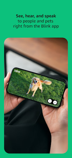 Blink Home Monitor PC