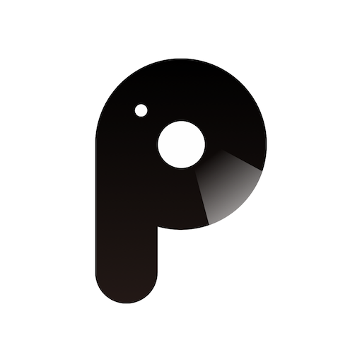 P2 Pro PC