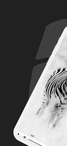 InfoProtector Player PC