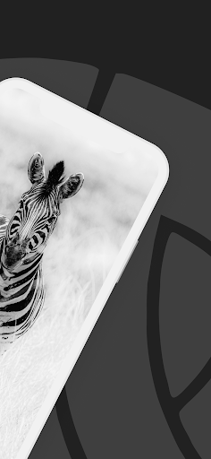 InfoProtector Player PC