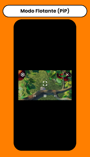 Inkaplay: Reproductor de Video