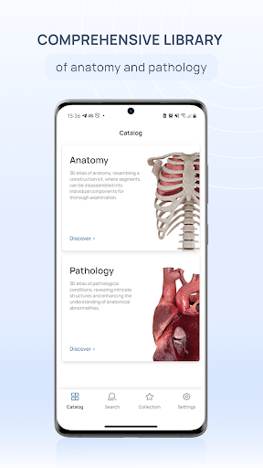 VOKA 3D Anatomy & Pathology پی سی