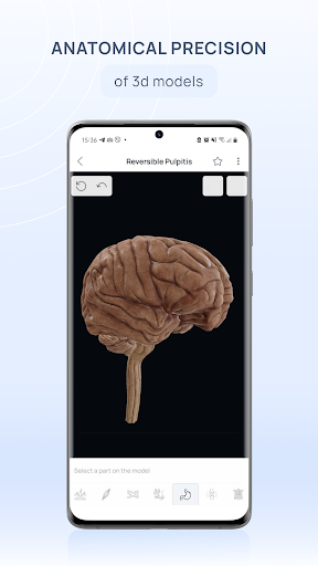 VOKA 3D Anatomy & Pathology پی سی