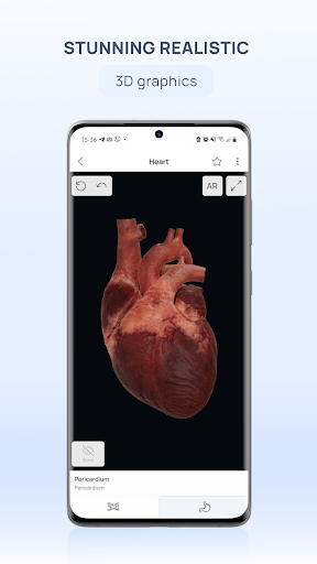 VOKA 3D Anatomy & Pathology پی سی