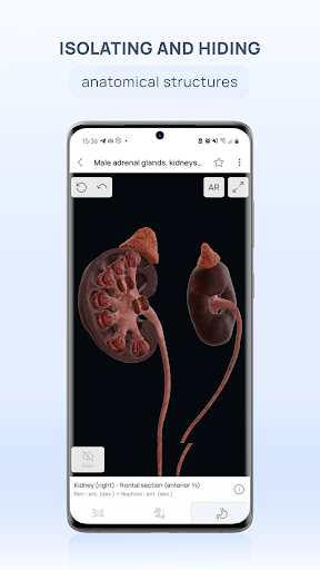 VOKA 3D Anatomy & Pathology ПК