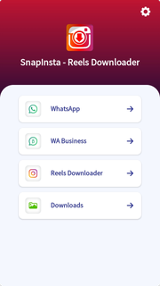 Snapinsta: Reel Downloader PC