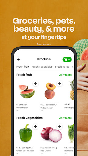 Instacart: Same-day grocery delivery