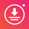 Video Downloader - Story Saver