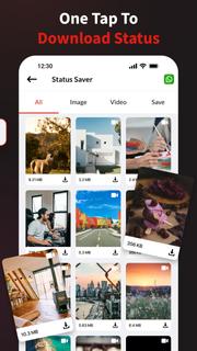 Video Downloader - Story Saver PC