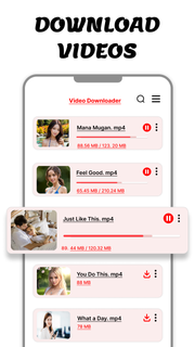 Video Downloader & Story Video PC