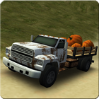 Dirt Road Trucker 3D PC