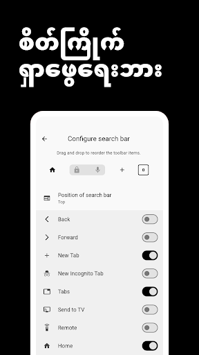Browser