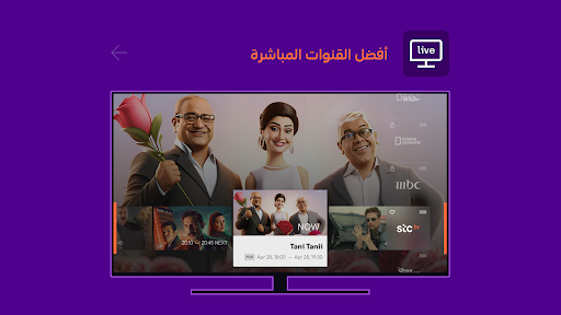 stc tv