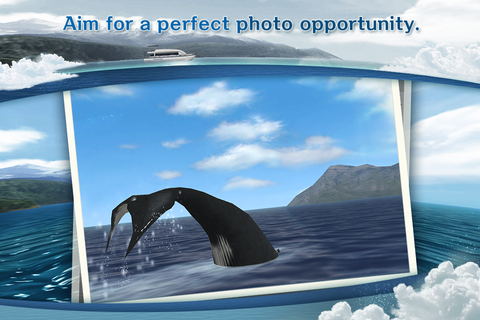 REAL WHALES Find the cetacean. PC