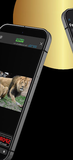 IPTV Streamer PC