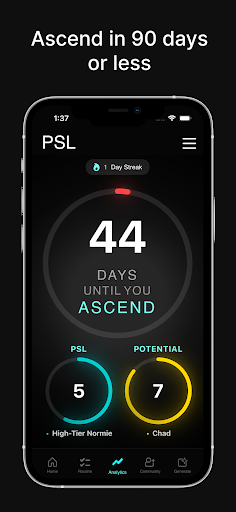 PSL - Looksmax & Ascend PC