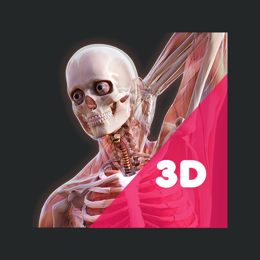 3D Human Anatomy Learning App پی سی