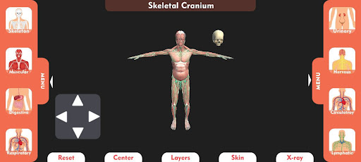 3D Human Anatomy Learning App پی سی