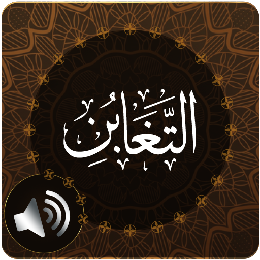 Surah Taghabun Audio电脑版